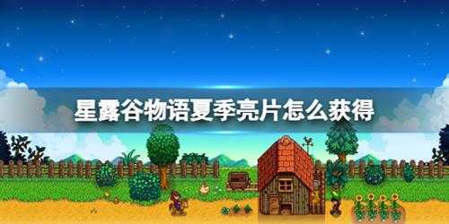 《星露谷物语》夏季亮片怎么获得？