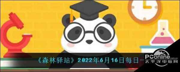 森林驿站2022年6月16日每日一题