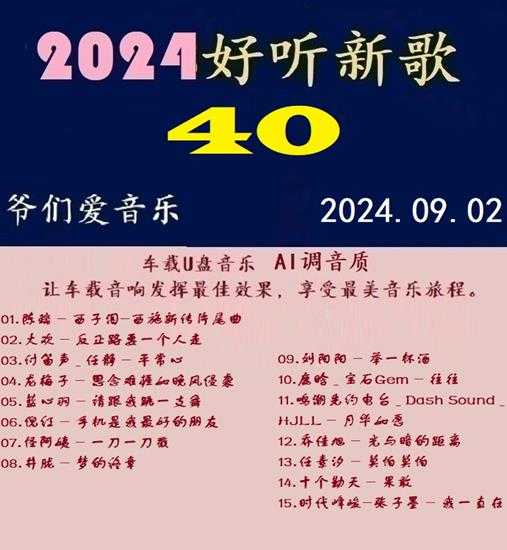 群星《2024好听新歌40》AI调整音效【WAV分轨】