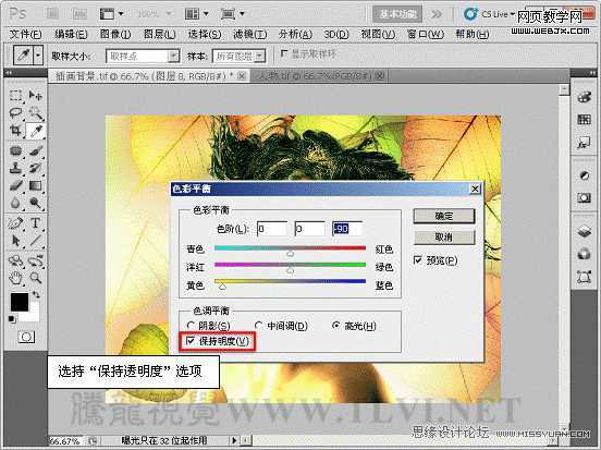 PS入门教程:用色彩平衡命令调整图片色彩的制作方法