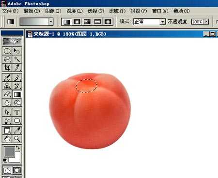 PHOTOSHOP鼠绘出逼真蕃茄教程