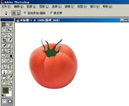 PHOTOSHOP鼠绘出逼真蕃茄教程