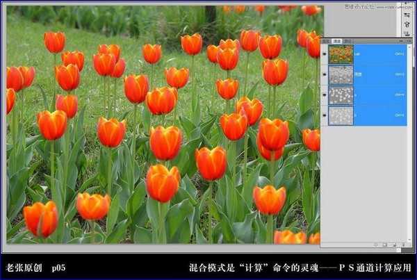 Photoshop利用计算命令计算出精确选区调整图片颜色