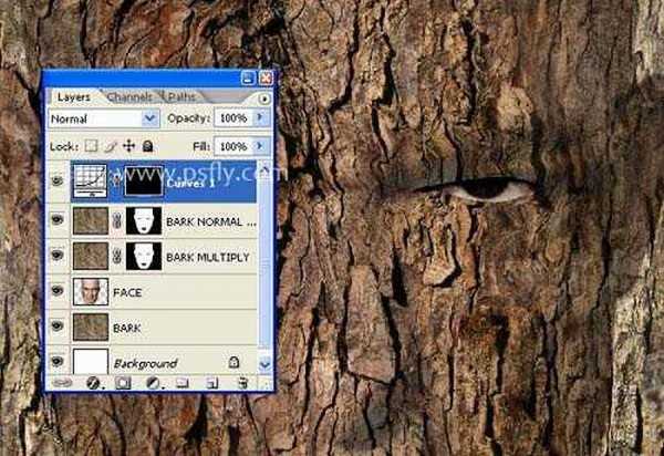 PS合成恐怖效果的树皮人脸效果教程