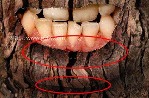 PS合成恐怖效果的树皮人脸效果教程