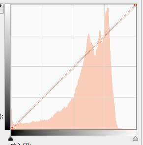 PS曲线和直方图让照片显得更干净靓丽