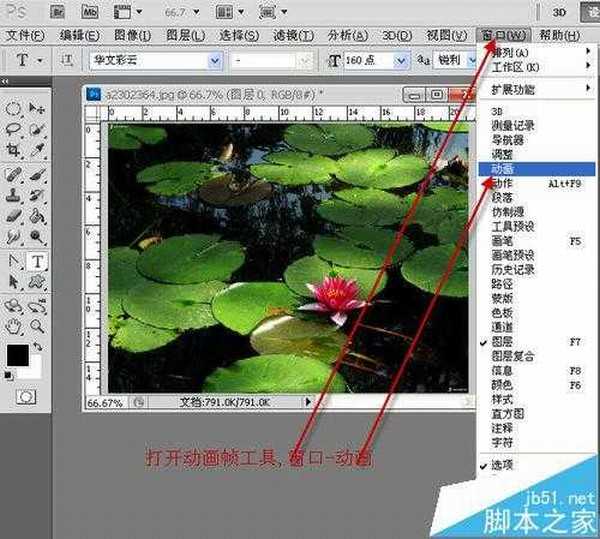 PS CS3中怎么给睡莲制作下雨gif动画效果?