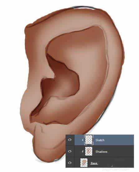 ps怎么制作绘制人体的耳朵的矢量图形?