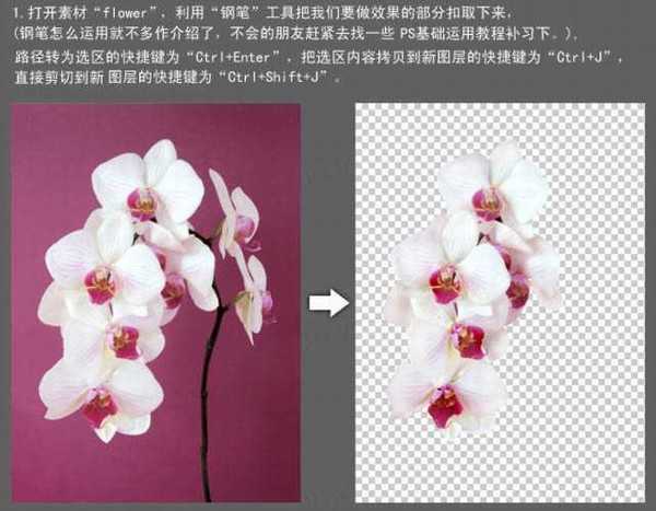 Photoshop快速给花朵加上喷溅牛奶教程