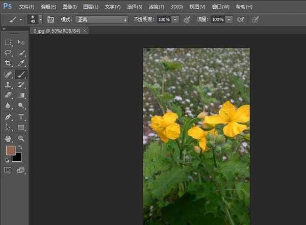 ps cs6怎么给图片制作油画效果?