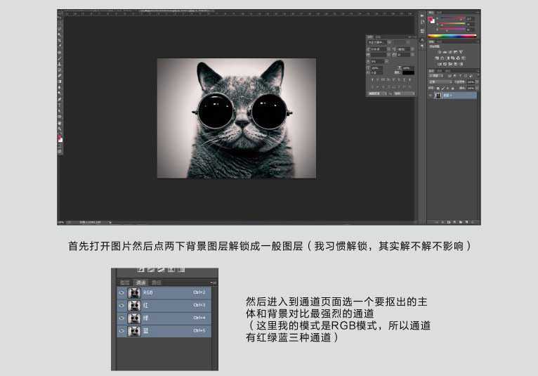 ps巧用通道抠图完美抠出一张戴着眼镜的猫咪图片教程