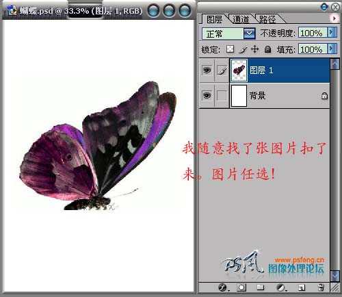 Photoshop 滤镜制作液态花纹图案